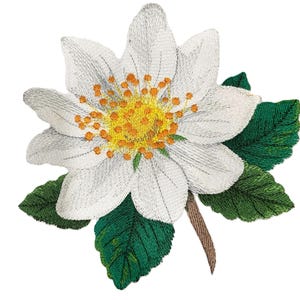 Puede incluir: Una flor blanca con un centro amarillo y hojas verdes. La flor está bordada y tiene un diseño delicado e intrincado.