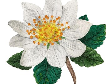 Iris Flower Mountain Avens Embroidered Iron on/Sew Patch [ 5.94 "(w) x 5.86"(h) ]