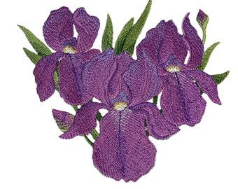 Jenseits von Vision Iris Blumen gestickt Aufnäher zum Aufnähen [5,86 "(w) x 6,69" (h)]