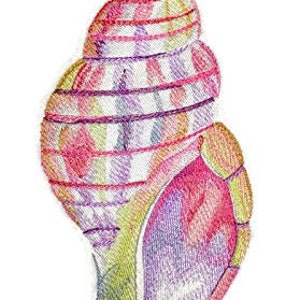 May include: A colorful seashell with pink, purple, and green stripes. The shell is drawn in a detailed style with a white background.