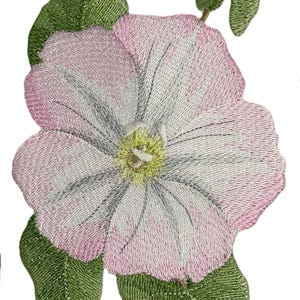 Puede incluir: Una flor bordada de color rosa y blanco con hojas verdes. La flor tiene un centro blanco con un centro amarillo.