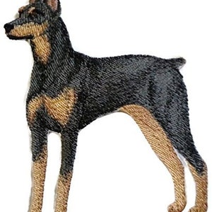 May include: Embroidered patch of a black and tan Doberman Pinscher dog standing with its legs slightly apart.