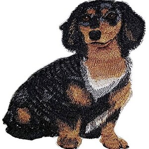 Custom Dog Portraits [Dachshund Longhair] Embroidery Iron On/Sew Patch [6" x 5"]