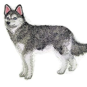 Könnte beinhalten: Gestickter Aufnäher eines schwarz-weißen Hundes mit blauen Augen. Der Hund steht mit leicht gedrehtem Kopf.