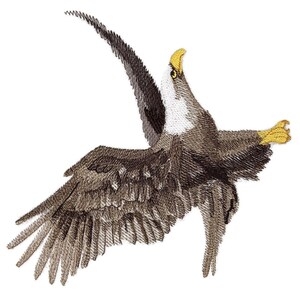 May include: A brown and white bald eagle with yellow talons is flying with its wings spread wide. The eagle is looking up with its head tilted back.