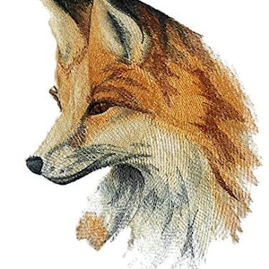 Könnte beinhalten: Nahaufnahme des Kopfes und Halses eines Rotfuchses. Der Fuchs hat eine spitze Schnauze, schwarze Augen und einen buschigen Schwanz. Das Fell ist eine Mischung aus Orange, Braun und Weiß.