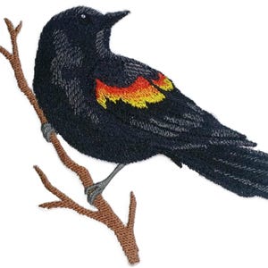 May include: An embroidered patch featuring a black bird with a vibrant red and yellow wing patch, perched on a brown textured branch. The bird is depicted in profile, showcasing detailed stitching that defines its feathers and form.
