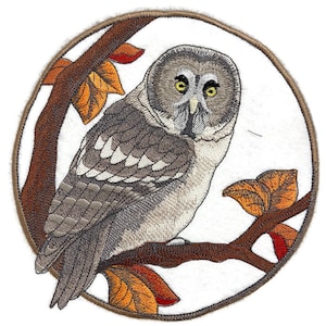 Op de afbeelding: Gestikte patch met een grijze uil die op een tak zit met bruine en oranje bladeren. De uil heeft gele ogen en is omgeven door een bruine ovaal.