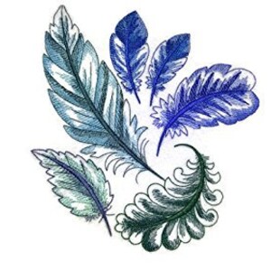 May include: A collection of five blue and green feathers arranged in a circular pattern. The feathers are drawn in a detailed, realistic style.