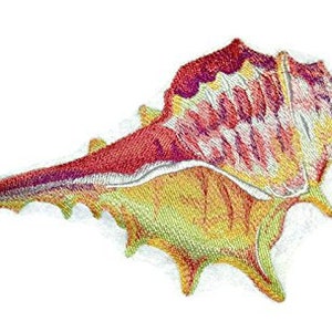 May include: A large, intricately detailed seashell with a long, pointed tip. The shell is a vibrant mix of red, orange, and yellow hues, with a white interior.