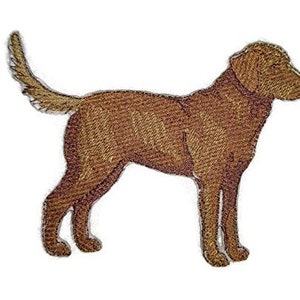May include: Embroidered patch of a brown Labrador Retriever standing with its tail curled. The patch is perfect for adding a touch of canine charm to clothing, bags, or other accessories.