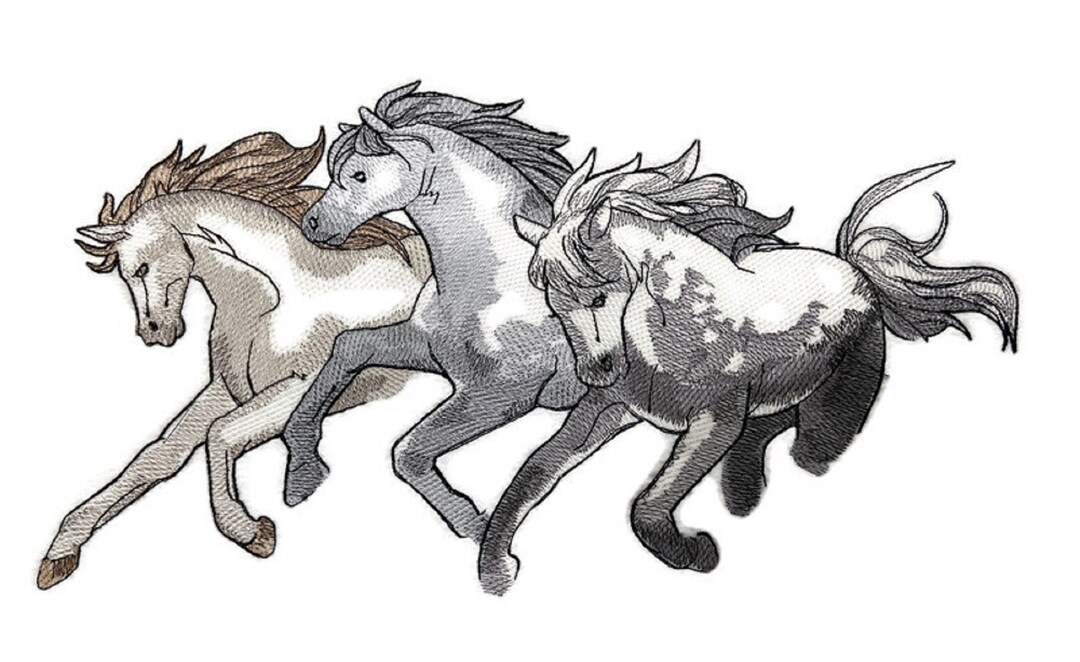 Beyond Vision Custom Horse Wild West Stallions Embroidery Iron On/sew ...