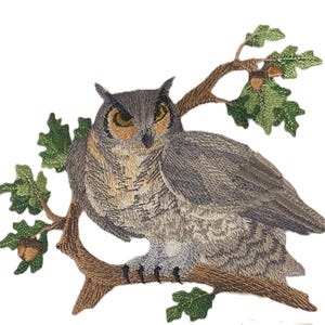 May include: Embroidered patch of an owl on a branch with green leaves and acorns. The owl has grey and brown feathers and yellow eyes. The branch is brown, and the background is white. The patch is highly detailed.