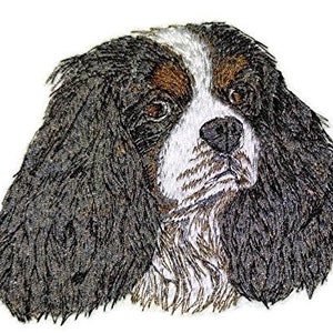 May include: A close-up of a Cavalier King Charles Spaniel dog with long, flowing black and white fur. The dog has brown eyes and a white patch on its chest.