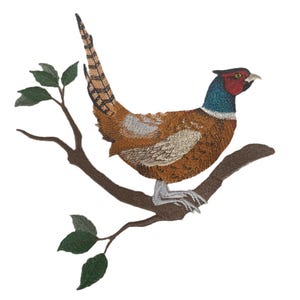 Pode incluir: Patch bordado com um faisão empoleirado num galho com folhas verdes. O faisão tem penas castanhas, bege e cinzentas, uma face vermelha e um pescoço azul. O galho é castanho e as folhas são verdes.