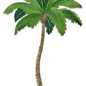 May include: Embroidered patch of a green palm tree with a brown trunk and a brown base.