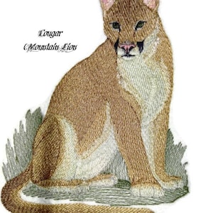 Parche bordado de puma (león de montaña) para planchar o coser [15,93 x 12,2 cm]