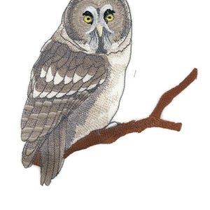 Könnte beinhalten: Gestickter Aufnäher eines Bartkauzes auf einem braunen Ast. Die Eule hat detaillierte Stickereien in Grau-, Braun- und Cremetönen mit gelben Augen. Der Aufnäher ist für das Aufnähen auf Kleidung oder Accessoires gedacht.