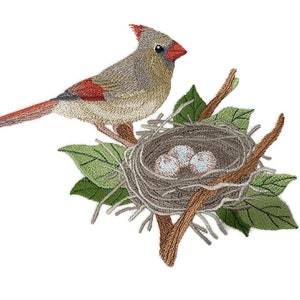 May include: An embroidered patch featuring a female cardinal with tan, gray, and red plumage perched beside a woven brown nest. The nest contains three speckled light blue eggs and is surrounded by several green leaves on a brown branch.