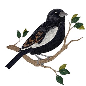 May include: Embroidered patch of a black and white bird perched on a brown branch with green leaves. The bird has a detailed design with brown and white accents on its wings and chest. The patch is likely for sewing or ironing onto fabric.