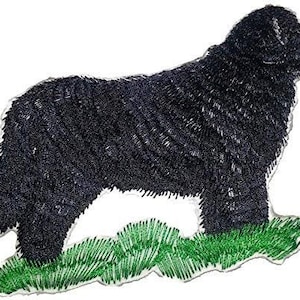 May include: Embroidered patch of a black Newfoundland dog standing on green grass.