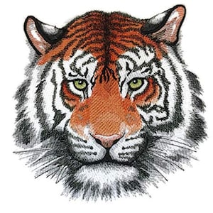 May include: Close-up of a tiger's face with orange and black stripes. The tiger has a white muzzle and a black nose. The tiger's eyes are green and the background is white.