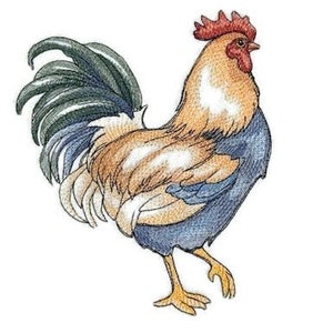 以下が含まれることがあります： 赤い鶏冠と肉垂れ、茶色と白の羽根、青い尾を持つ雄鶏。雄鶏は白い背景に立っています。