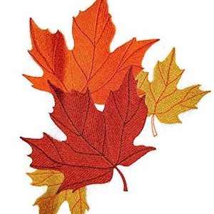 Può includere: Un gruppo di tre foglie autunnali in tonalità di arancio, rosso e giallo. Le foglie sono disposte a strati, con la foglia più grande in basso e la più piccola in alto.