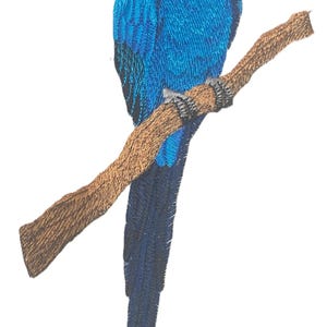 May include: Embroidered patch of a blue macaw parrot perched on a brown branch. The bird has a black beak and yellow eye markings. The patch is detailed with various shades of blue and brown.
