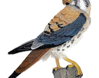 American Kestrel Embroidered Iron on/Sew patch [5" X 4"]