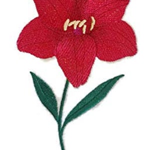 Può includere: Un singolo fiore rosso con foglie verdi e uno stelo. Il fiore ha cinque petali e un centro giallo.
