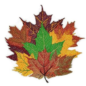 May include: An embroidered patch featuring a cluster of autumn leaves in shades of red, orange, yellow, and green.
