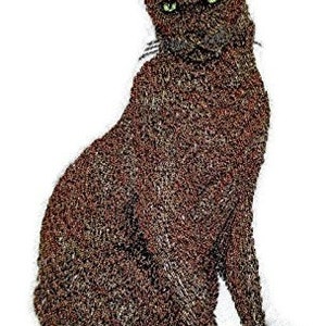 May include: A brown tabby cat with green eyes sitting on a white background.