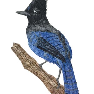 Steller's Jay on Branch Embroidered Iron on/Sew Patch [4.1" x 6.83"]