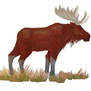 May include: Embroidered patch of a brown moose with large antlers standing in a field of grass.