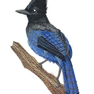 Può includere: Toppa ricamata di un ghiandaia azzurra posata su un ramo. L'uccello ha la testa e la cresta nere, le ali e la coda azzurre e la gola bianca.