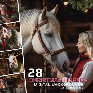 28 chevaux de Noël dans une grange, décors numériques, stock de Noël, fond de Noël, ferraille, hiver, neige, cartes de voeux, Instagram, animal de compagnie