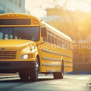 5 Back to School Digital Background Backdrop Preschool Elementary ...