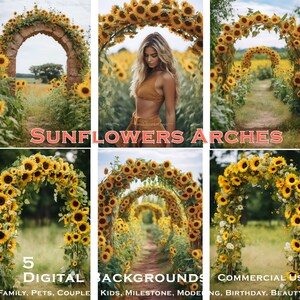 Premium Sunflower Arch Backdrops, Sunflower field, Rustic Sunflower, Sunflower Background, Instagram, TikTok, Sunsets, Trucks, Blurry, Stock