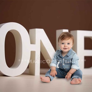 1st Birthday Background, Digital Background, Cakesmash, ONE letters, 1st Background, studio background, child, pet overlays, template, ONE