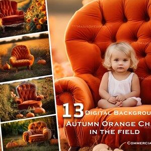 13 Orange Vintage Chair in Pumpkin Field, Rustic Barn, Autumn Digital Backdrop, Digital Downloads, Sunset, Flowers, Digital Background, Pets