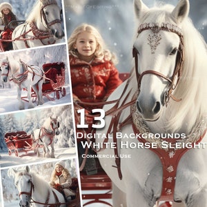 13 Carrozza bianca invernale, Sfondo digitale fotografico premium, Inverno, Neve, Natale, Polo Nord, Biglietto d'auguri, TikTok, Instagram, Babbo Natale