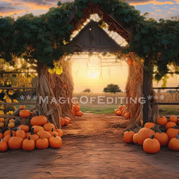 Barn Door Backdrop - Etsy