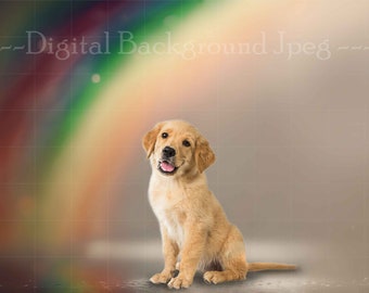 Lucky Rainbow, St. Patrick's Day Digital Backdrop, Irish, Digital Background, Lucky field of Clovers, Pet, Luck, Child, Family, Gold, love