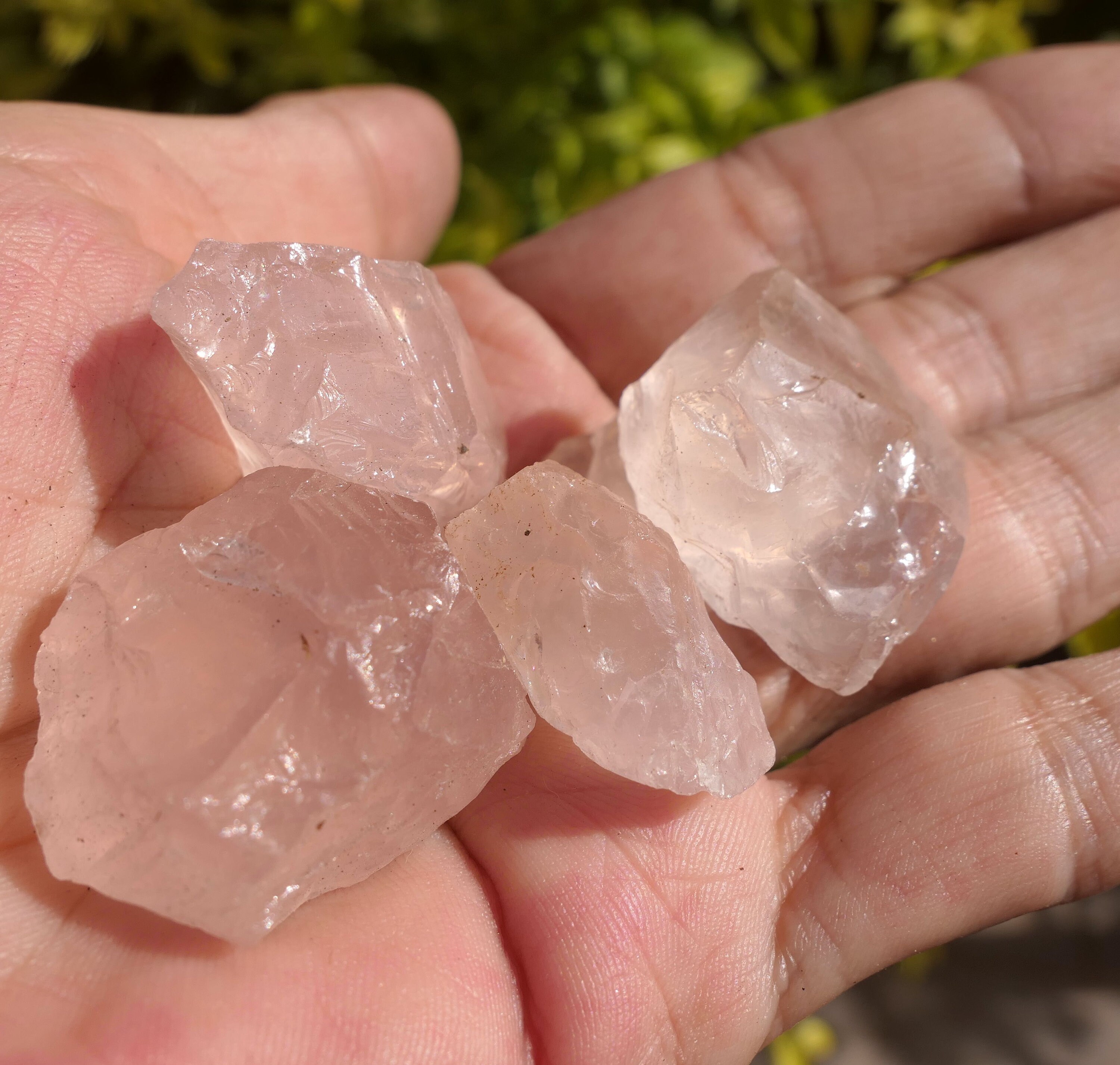 R927 Lot 5 Quartz Rose 51G Pierre Brute de Madagascar Minéraux Collection Litothérapie Chakar Du Coe