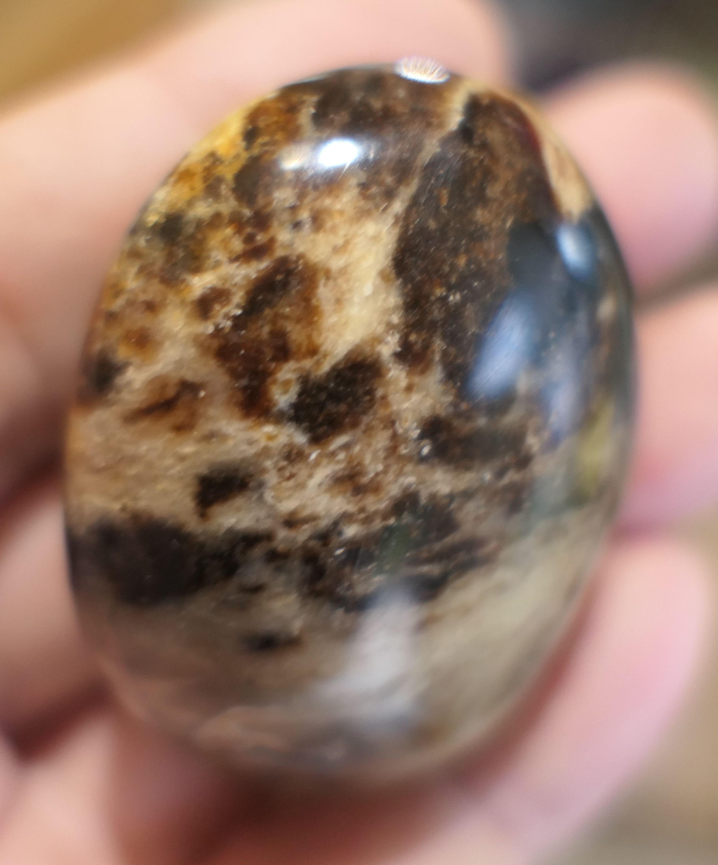 L681 47G Opale Noire ou Cappuccino de Madagascar 47mm Pierre Naturelle Galet Lithothérapie Retrouver