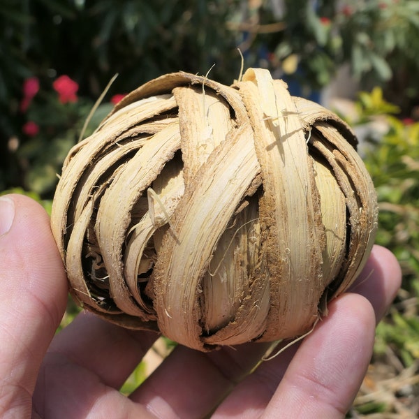 BOWL of KATRAFAY BARK Bark for after pregnant bath decoction for anti-fatigue anti-pain bath aphrodisiac (very limited stock)