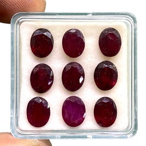 Könnte beinhalten: Neun oval geschliffene, tiefrote Rubine werden in einer transparenten Kunststoffbox präsentiert. Die Edelsteine haben eine facettierte Oberfläche, die das Licht einfängt und ihre satte Farbe zur Geltung bringt. Die Rubine sind in drei Dreierreihen angeordnet.