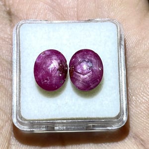 Könnte beinhalten: Zwei ovale, tief magentafarbene Sternrubine mit einem ausgeprägten sechsstrahligen Asterismus-Muster auf ihren Oberflächen. Diese im Cabochon-Schliff geschliffenen Edelsteine liegen nebeneinander in einem quadratischen, durchsichtigen Kunststoff-Aufbewahrungsbehälter.