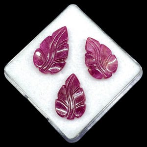 Peut inclure: Trois pierres précieuses translucides magenta foncé sculptées en forme de feuille avec une veine centrale et des bords dentelés. Ces pierres polies et facettées sont disposées en triangle sur un insert en mousse blanche dans un boîtier carré.